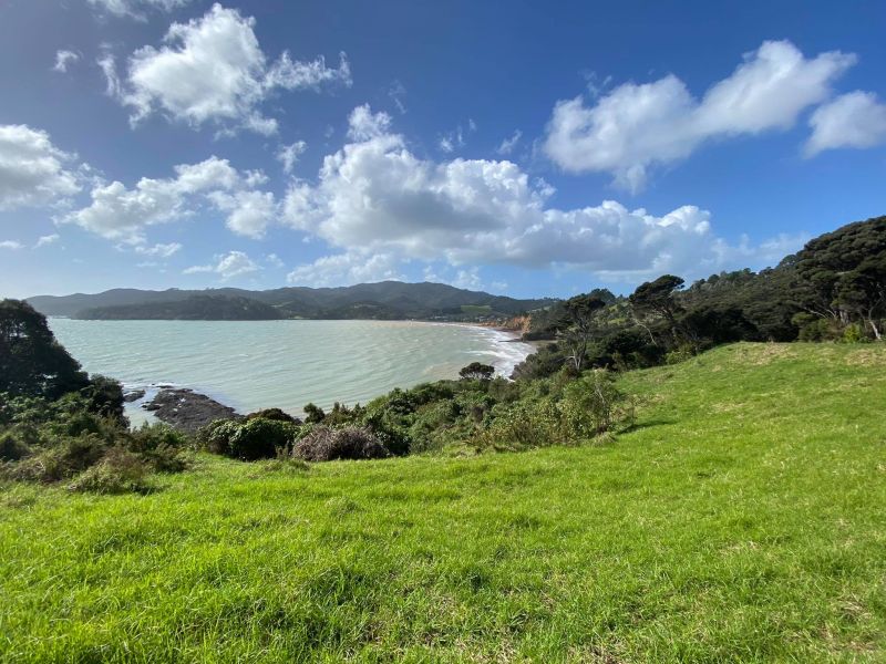 Rangitoto Reserve - Reserve Management Plan
