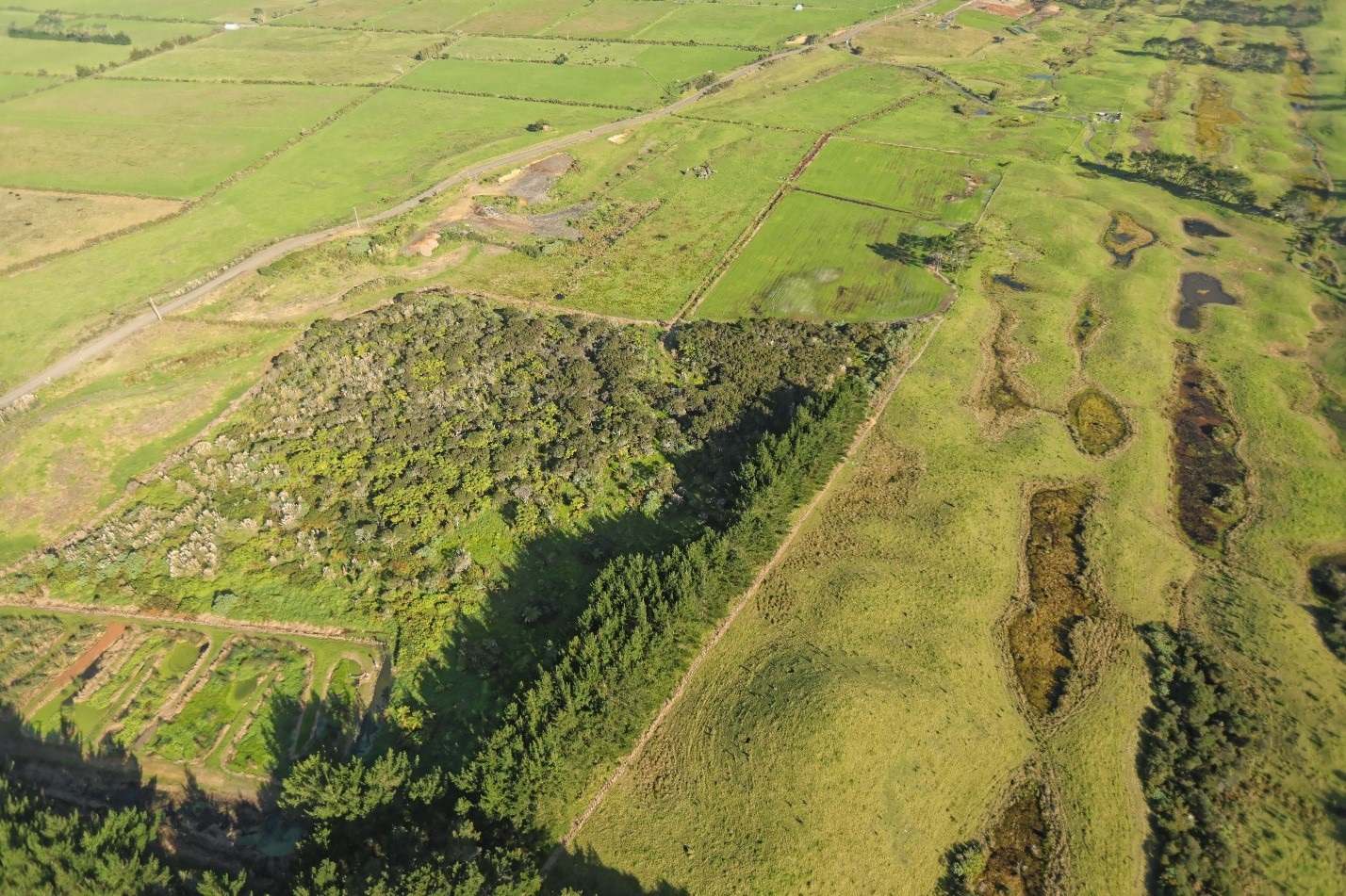 Ahipara Wetlands