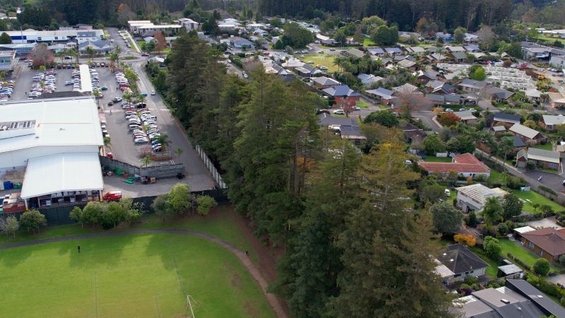 Kerikeri redwoods deemed a risk to life and property