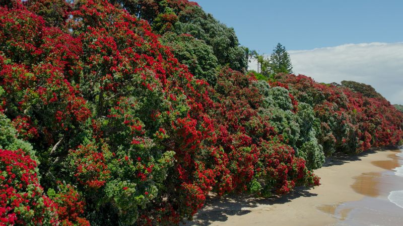 VIDEO - Councillors reveal favourite summer spots