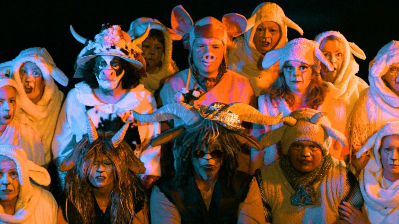 VIDEO - What the Flock! 