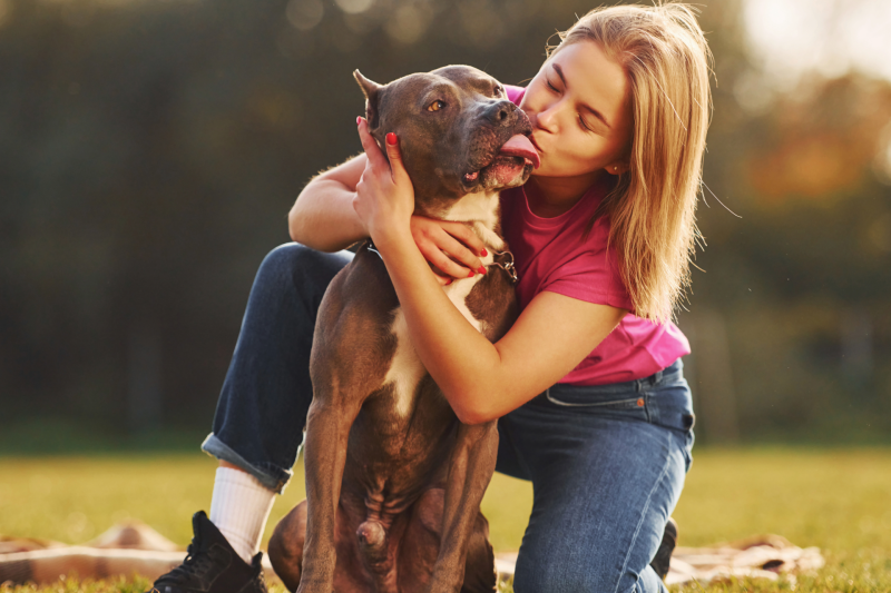 Grrrreat new scheme to help lost dogs