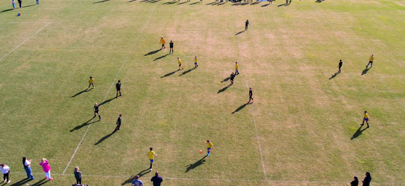 Could you be a vital part of Te Puāwaitanga’s future?