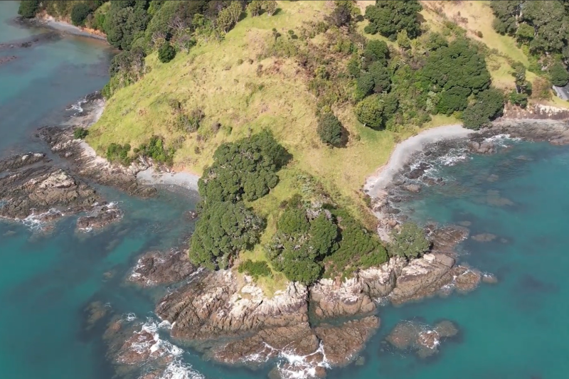 Planting the seeds for Rangitoto Reserve’s future