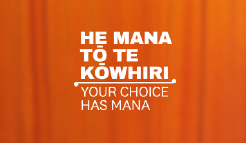 Māori or general roll? Your choice and why it matters
