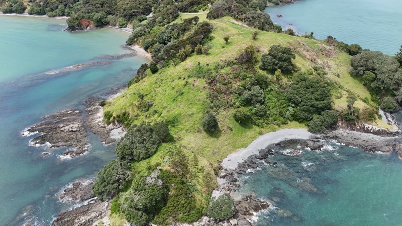 Draft Reserve Management Plan for Rangitoto Reserve, Hihi
