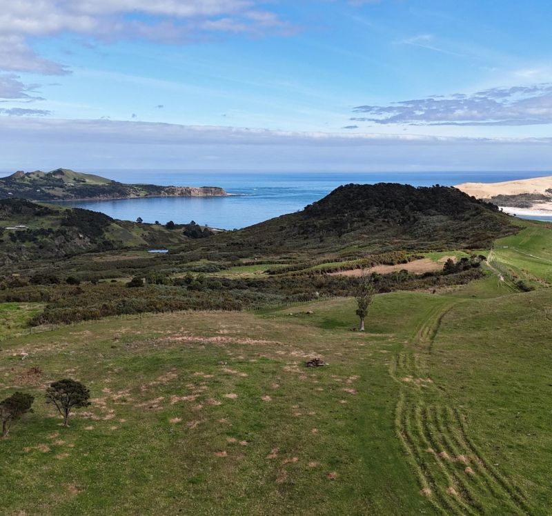 Ōpononi Ōmāpere wastewater working group seeks members