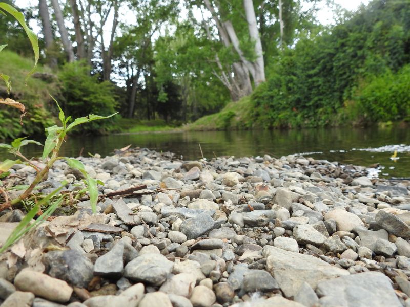Councils commit in principle to establishing regional water services organisation