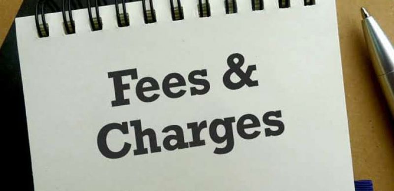 Fees and Charges Consultation 2025/26