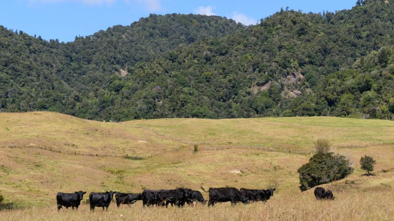 Water restrictions likely to increase with Northland drought classification