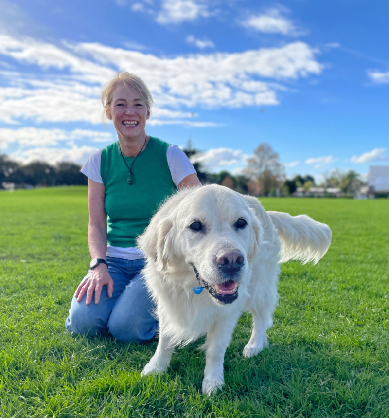 Paw-sitively the best time to register your dog