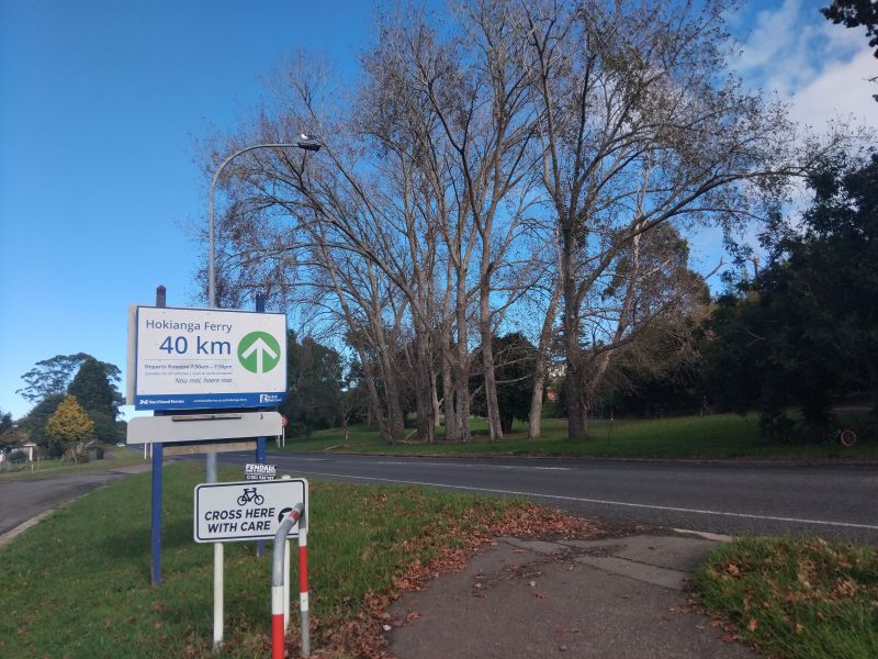 Ailing poplars to be removed from Kaikohe northern entrance