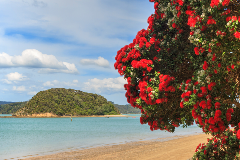 Council summer operating hours