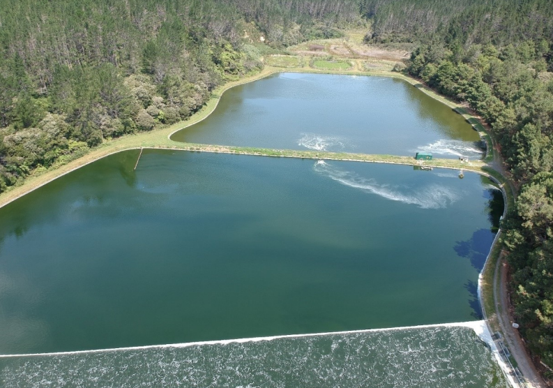 Paihia Wastewater Treatment Plant