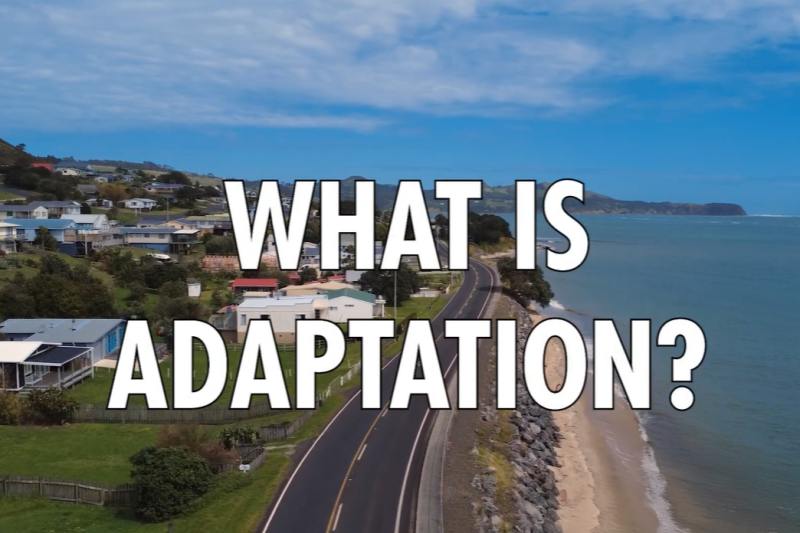 VIDEO – What is adaptation?