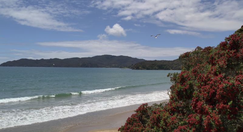 Councils to decide whether Northland's local government proposal moves forward 