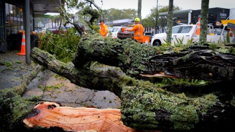 VIDEO - Mayor Moko's update about Cyclone Tam 